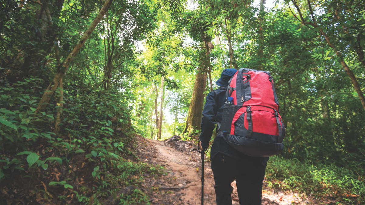 backpacker, tropical country, microbial illness
